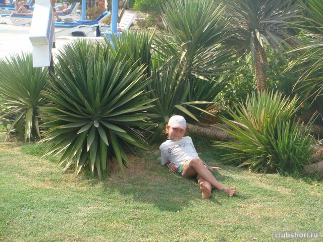 5575_boys-in-shorts-ru_477.jpg